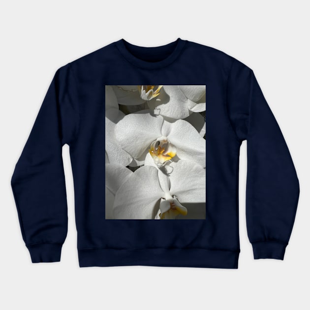 White Orchid Yellow Center Crewneck Sweatshirt by KarenZukArt